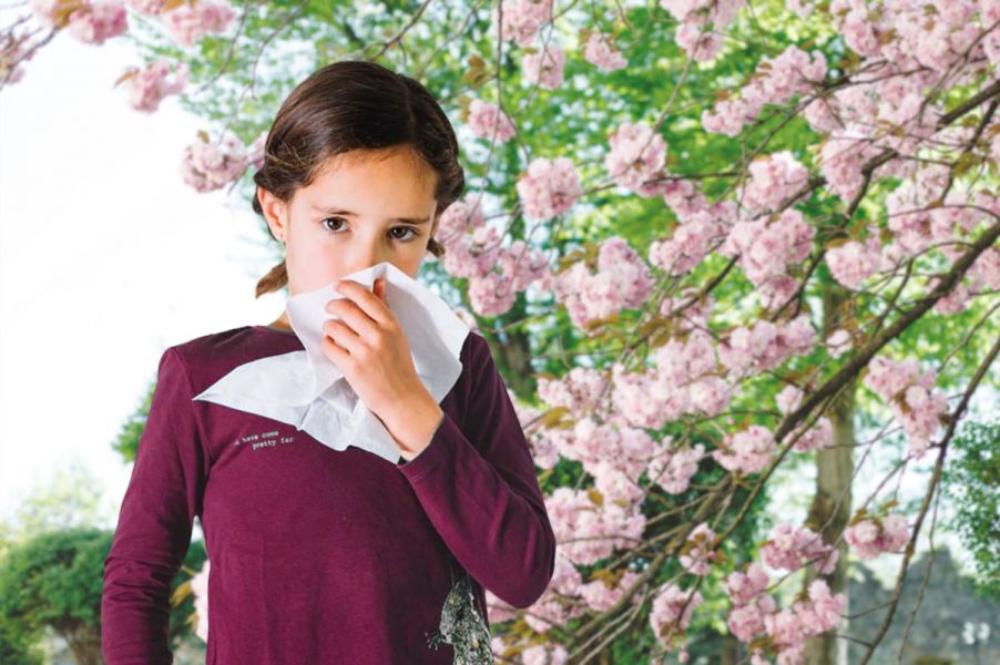 Как отличить аллергию от простуды у ребенка