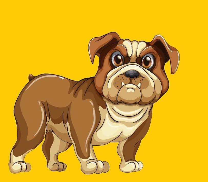 Ребенка укусила собака!