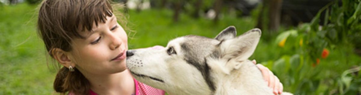 Вакцинация против бешенства